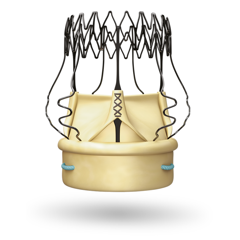 Biyolojik Kalp Kapakları (Bioprotez)